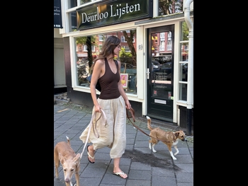  alt="Robin Holzken"