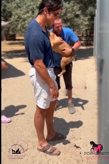 Mario Casas