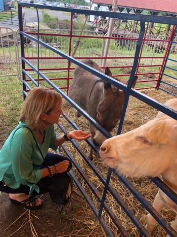 Claudia Tenney