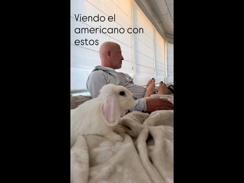 alt="Marcela Valladolid"