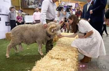 Catherine Duchess of Cambridge