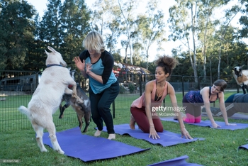 Sherri Saum