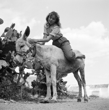 Françoise Arnoul