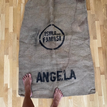 Angela Melillo