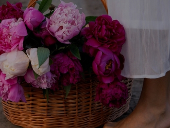 Maryna Bekh-Romanchuk