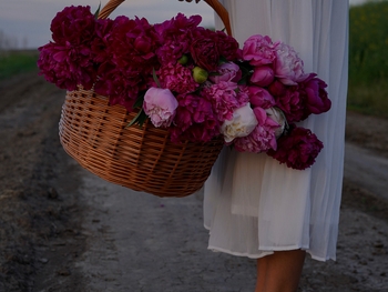 Maryna Bekh-Romanchuk