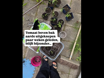  alt="Birgit Schuurman"
