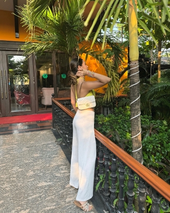 Palak Purswani