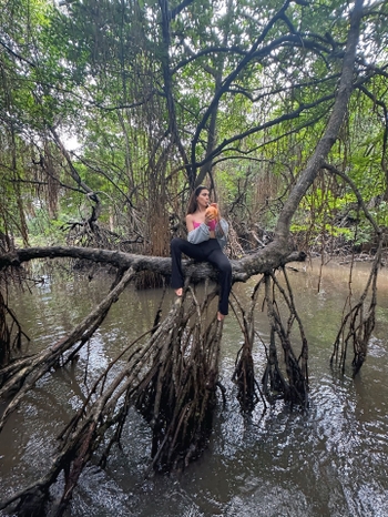 Palak Purswani