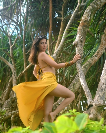 Palak Purswani