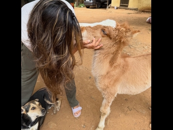  alt="Anusha Dhandekar"
