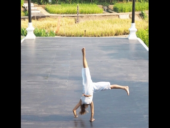  alt="Anusha Dhandekar"