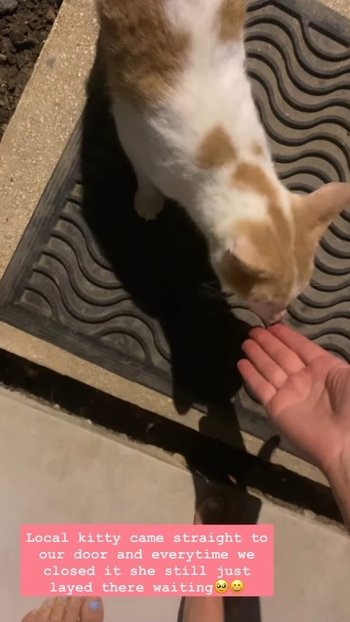 Jacqueline Scislowski