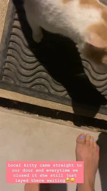 Jacqueline Scislowski