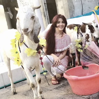 Rabi Pirzada