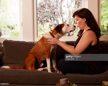 Allison Tolman