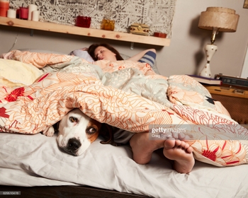 Allison Tolman