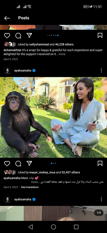 Aya Samaha