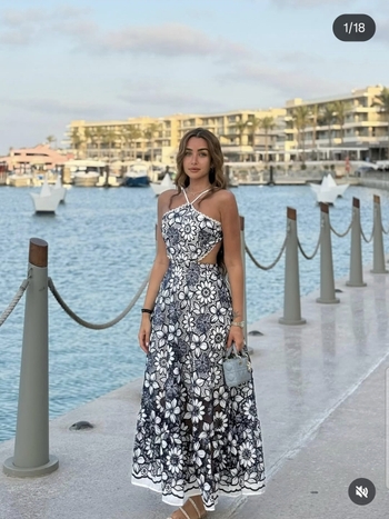 Hana El Zahed