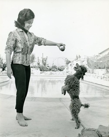 Annette Funicello