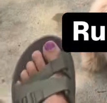 Emily Wears