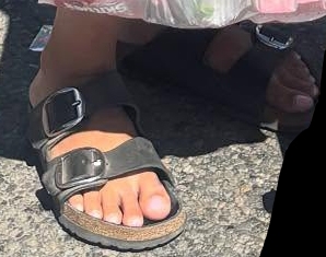 Emily Wears