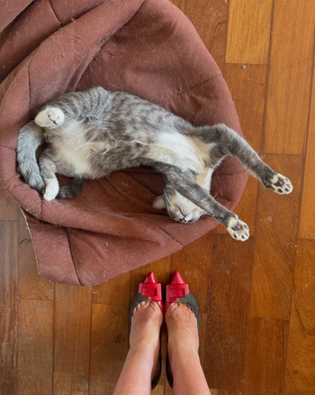 Lola Melnick
