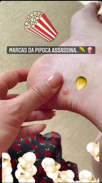 Maria Botelho Moniz