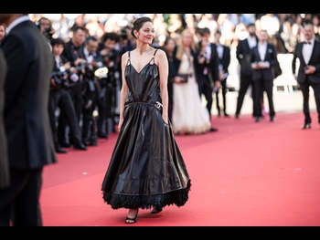  alt="Marion Cotillard"