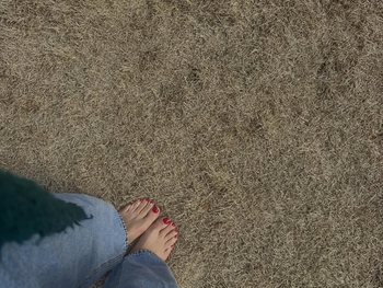 Jaime Primak Sullivan