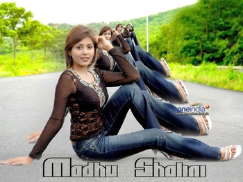 Madhu Shalini