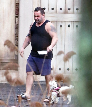 Joe Giudice