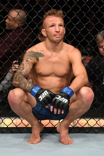 T.J. Dillashaw