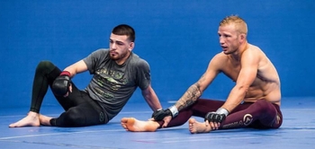 T.J. Dillashaw