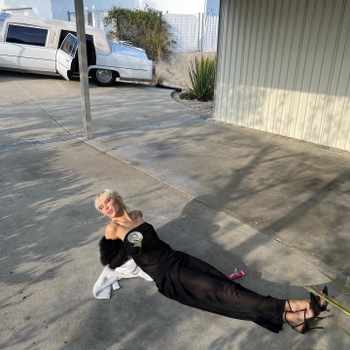 Iris Law