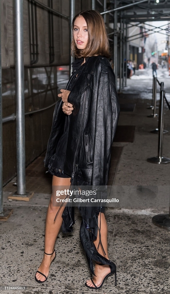 Iris Law