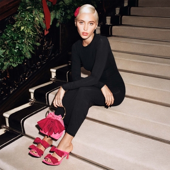 Iris Law