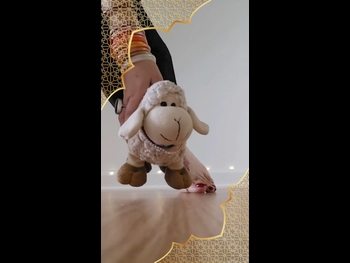  alt="Saman Ansari"