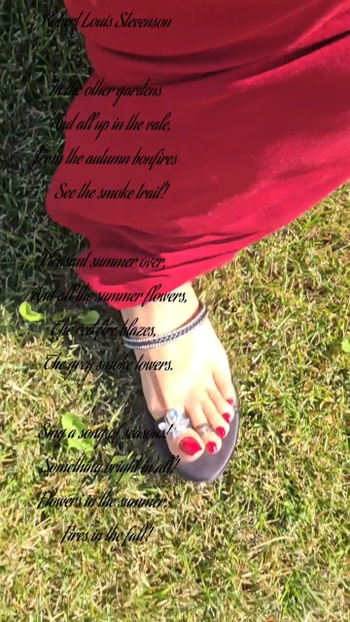 Saman Ansari