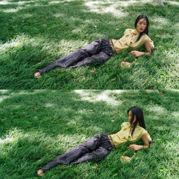 Liu Wen
