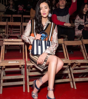 Liu Wen