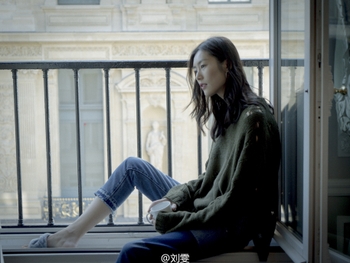 Liu Wen