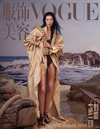 Liu Wen