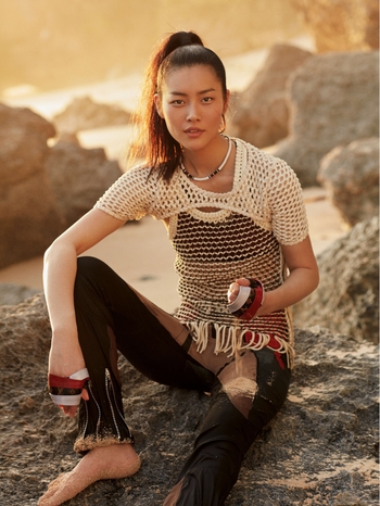 Liu Wen