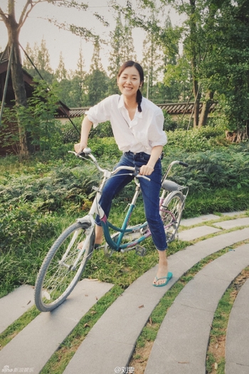 Liu Wen