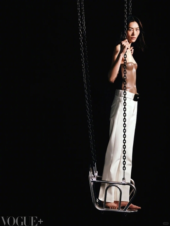 Liu Wen