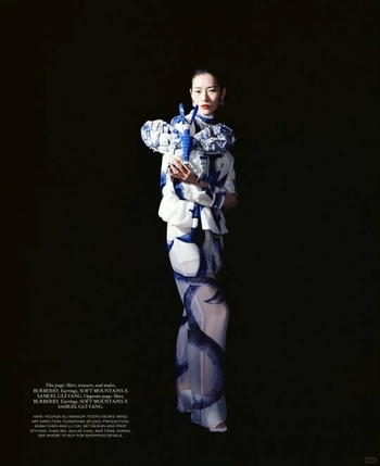 Liu Wen