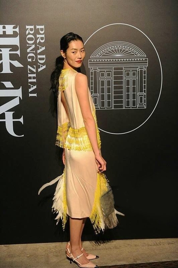 Liu Wen