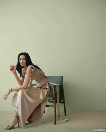 Liu Wen