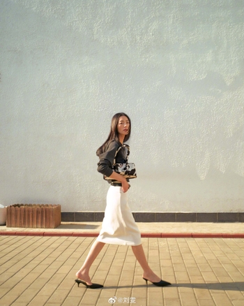 Liu Wen